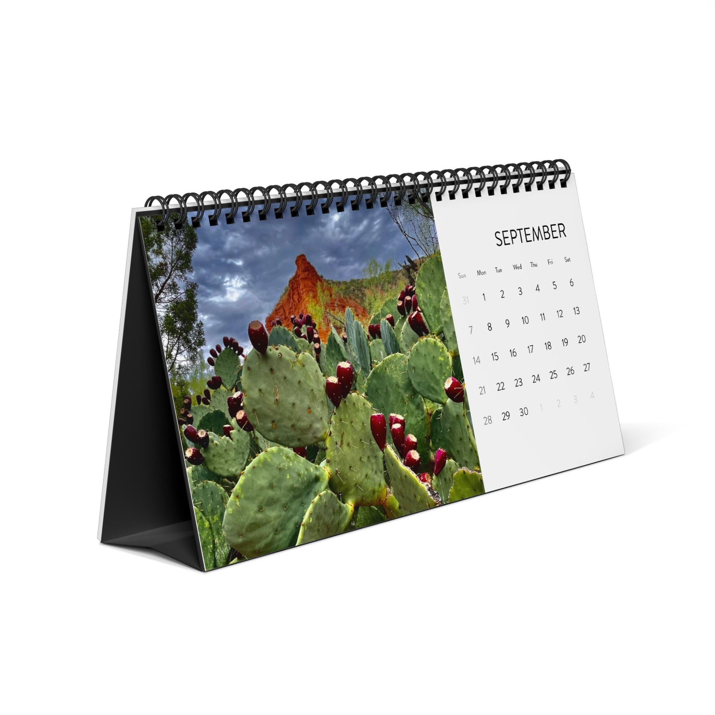 Desktop Calendar (2025 grid)
