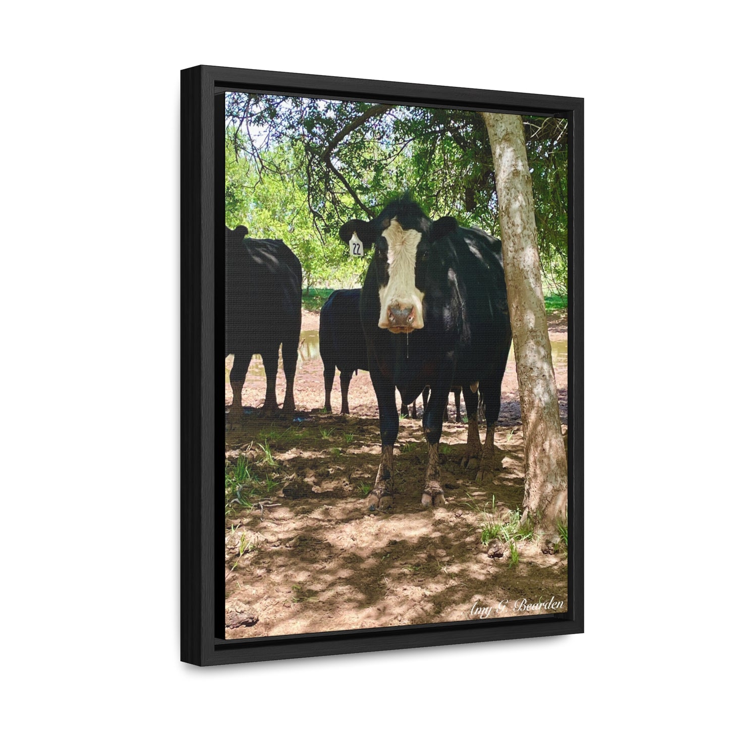 Wet Kisses, Gallery Canvas Wraps, Vertical Frame
