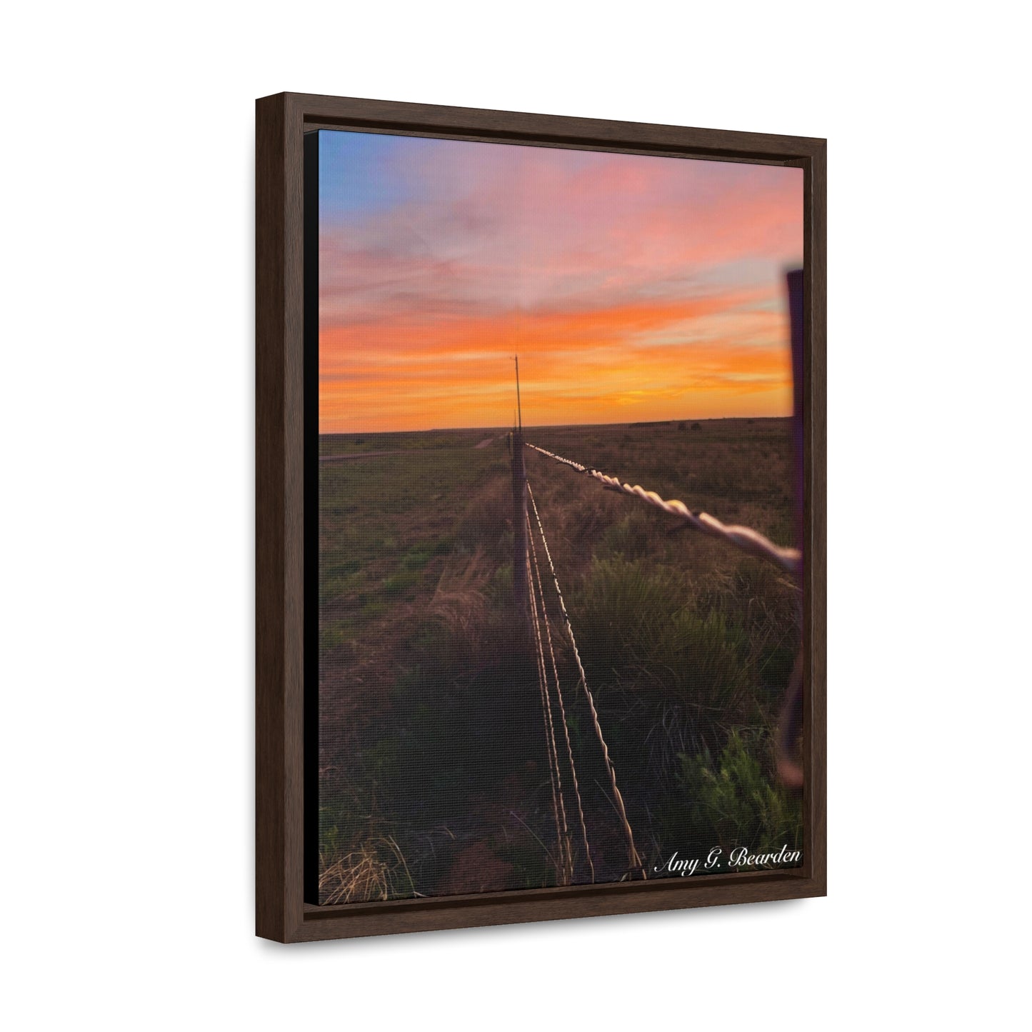 Barbed wire fence, Gallery Canvas Wraps, Vertical Frame