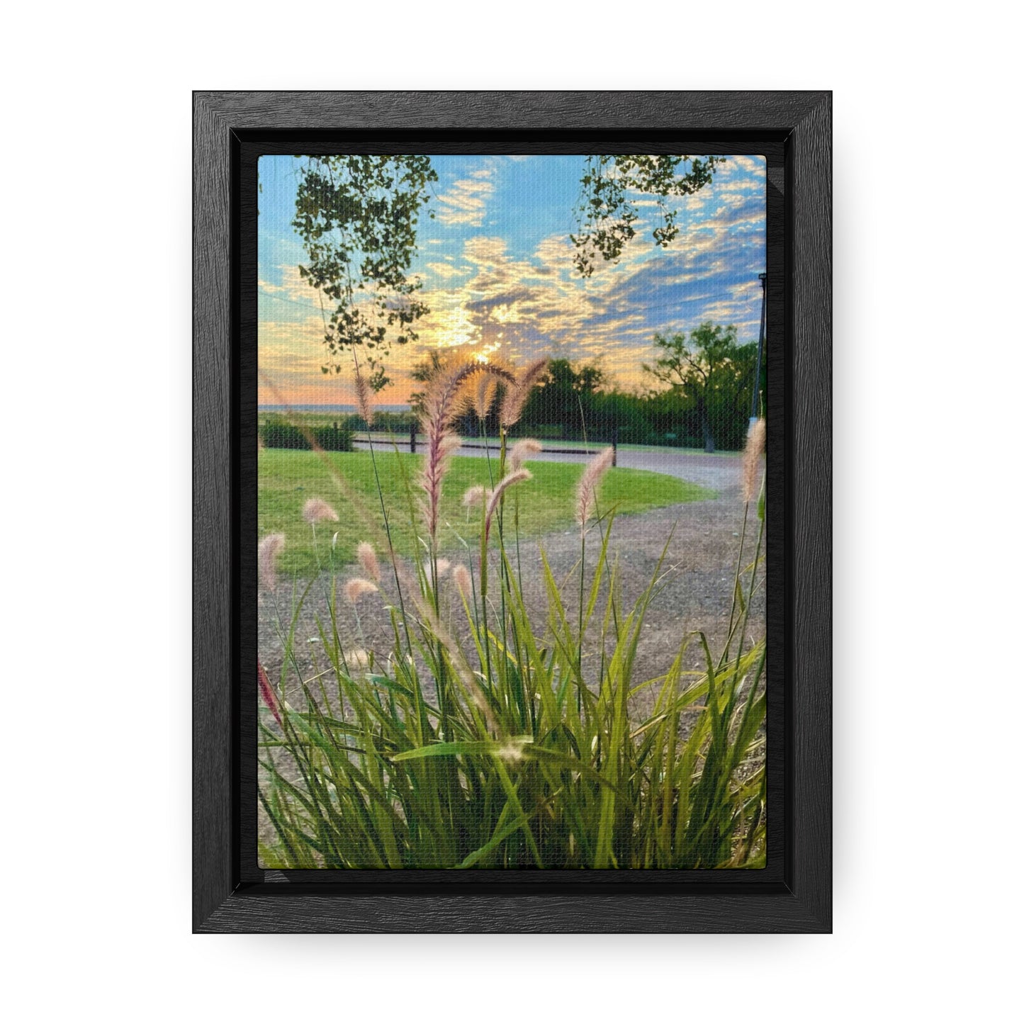 Feathergrass Sunrise, Gallery Canvas Wraps, Vertical Frame