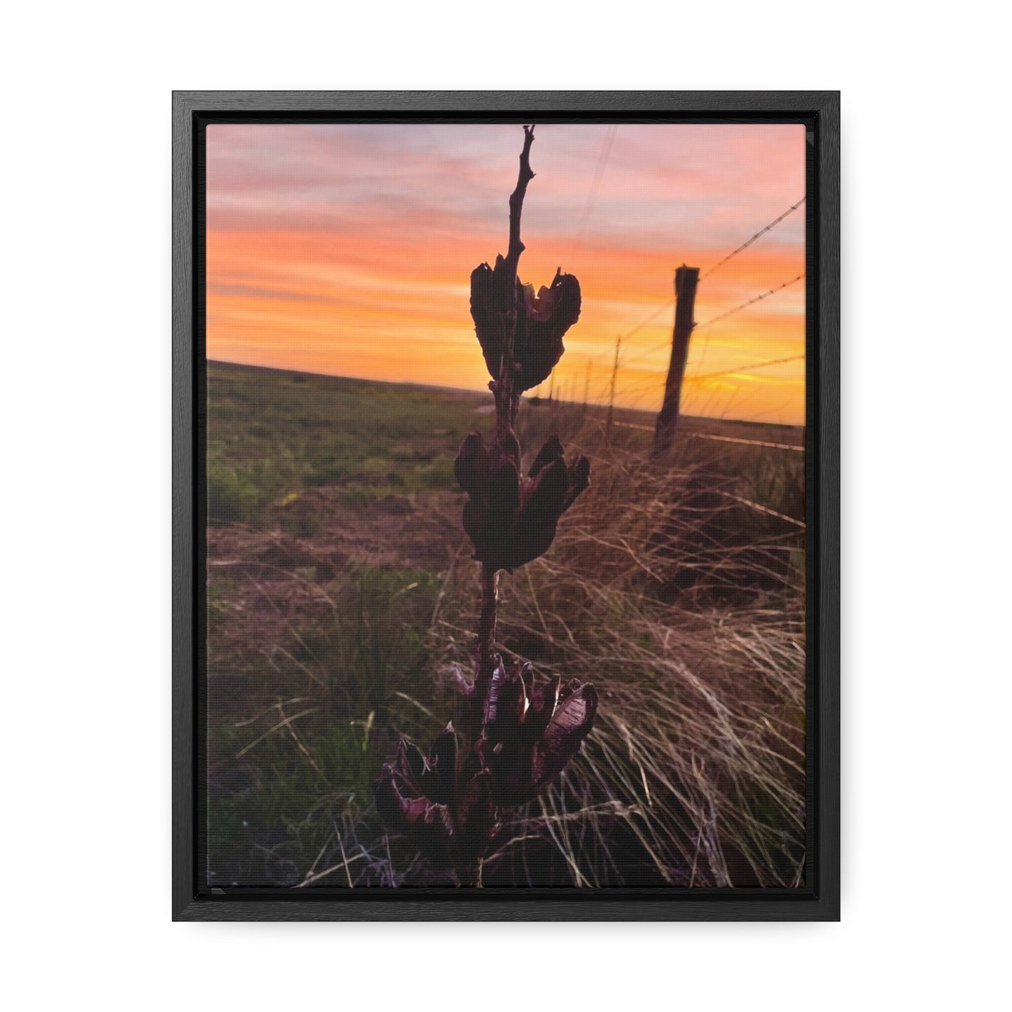 Native Yucca, Sunset, Gallery Canvas Wraps, Vertical Frame