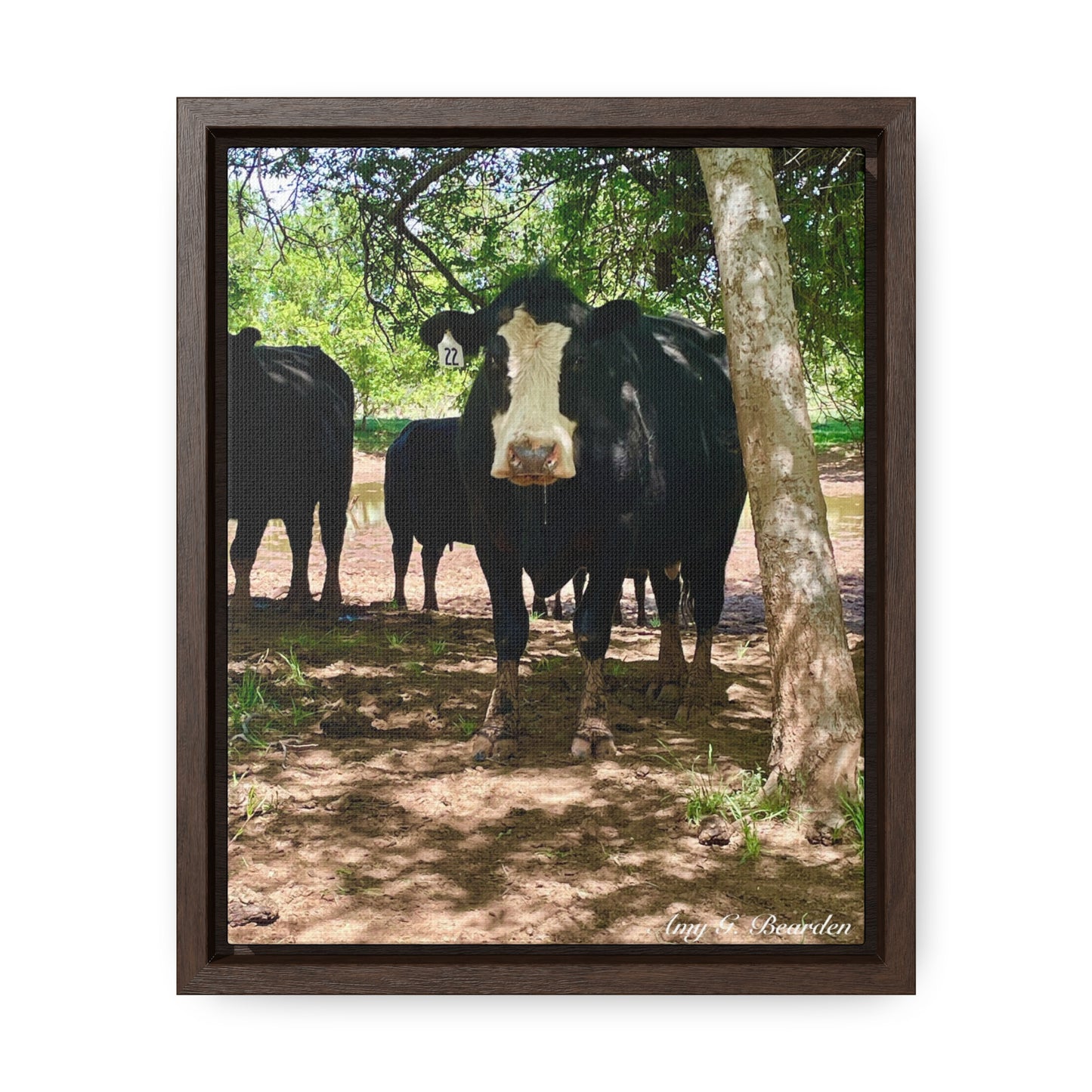 Wet Kisses, Gallery Canvas Wraps, Vertical Frame