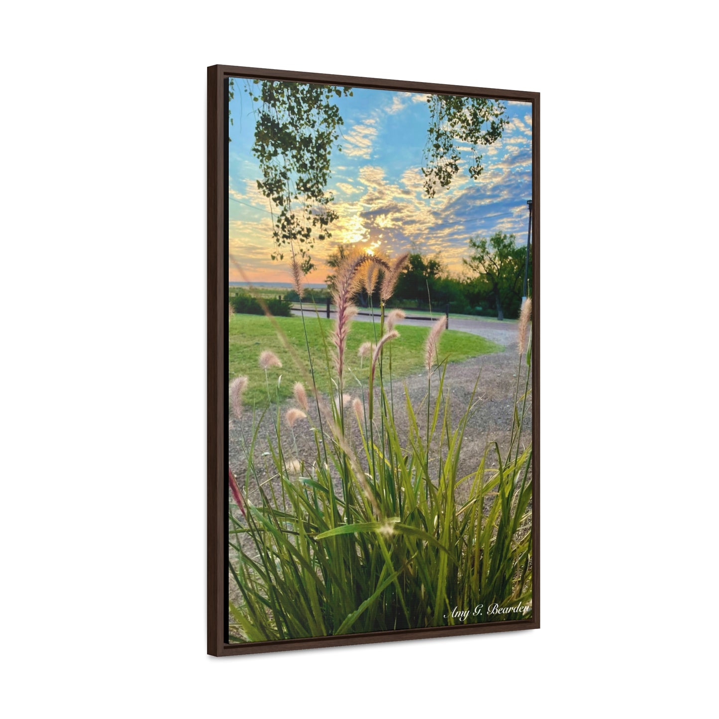 Feathergrass Sunrise, Gallery Canvas Wraps, Vertical Frame
