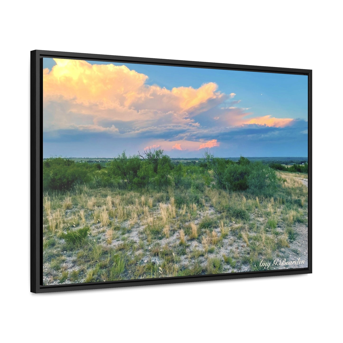Gallery Canvas Wraps, Horizontal Frame