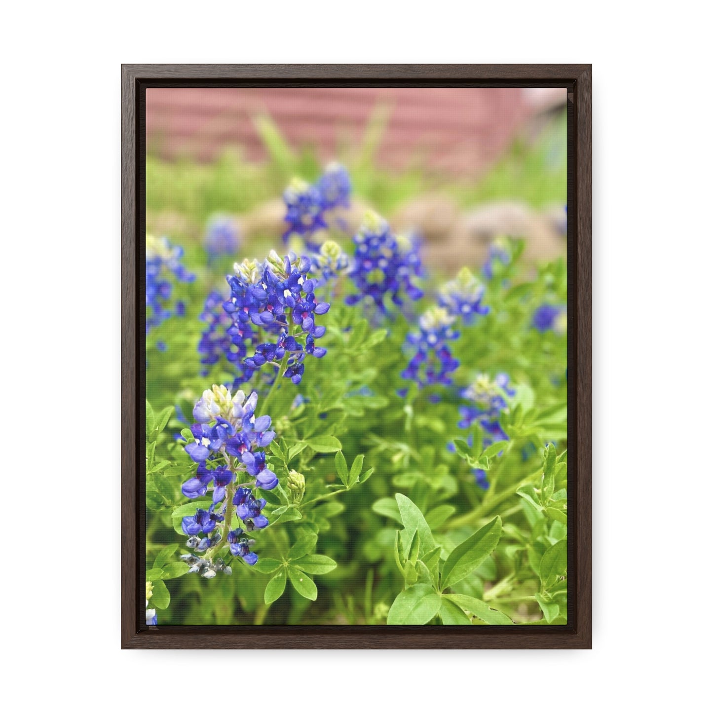 Bluebonnets, Gallery Canvas Wraps, Vertical Frame