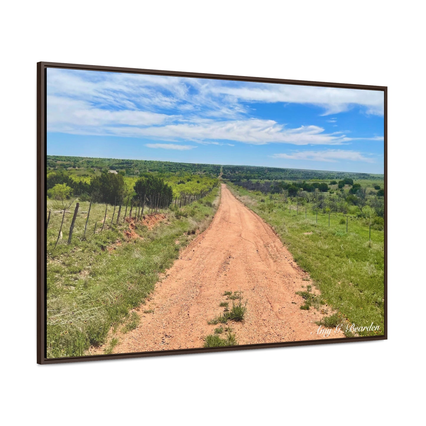Red Dirt Road, Gallery Canvas Wraps, Horizontal Frame