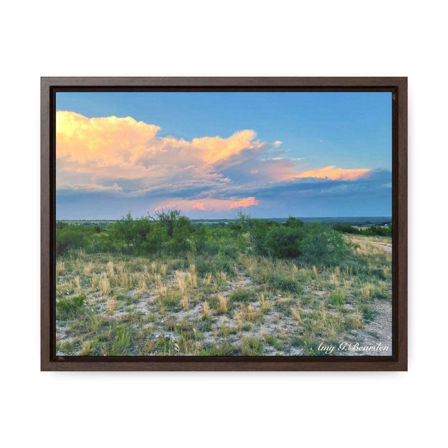 Gallery Canvas Wraps, Horizontal Frame