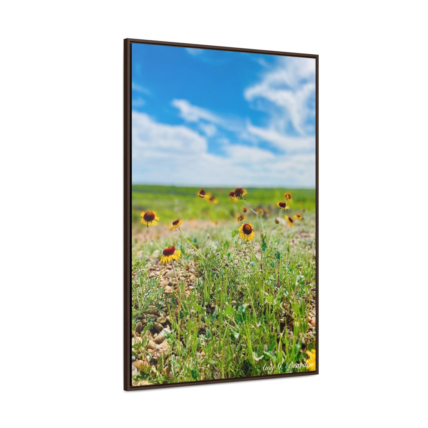 Wildflowers, Gallery Canvas Wraps, Vertical Frame