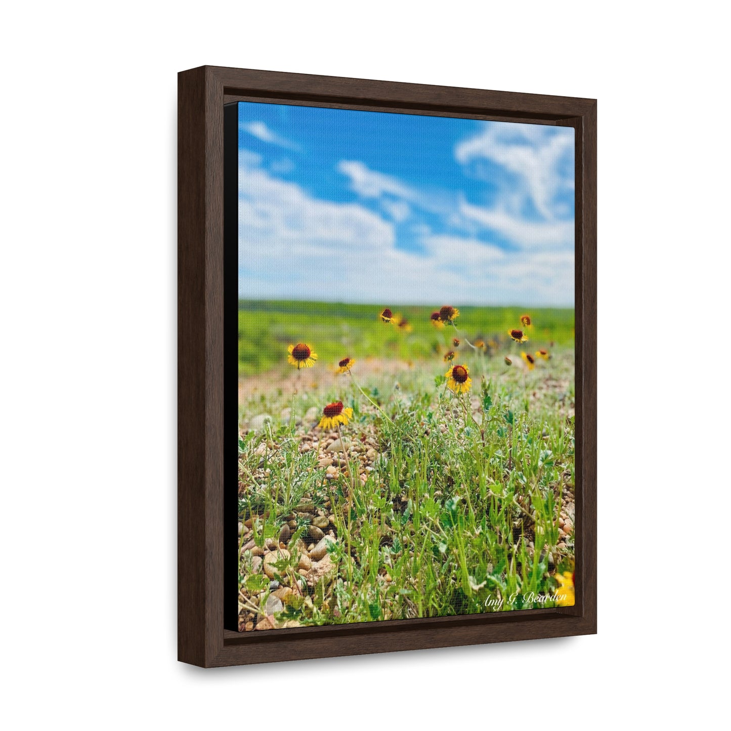 Wildflowers, Gallery Canvas Wraps, Vertical Frame
