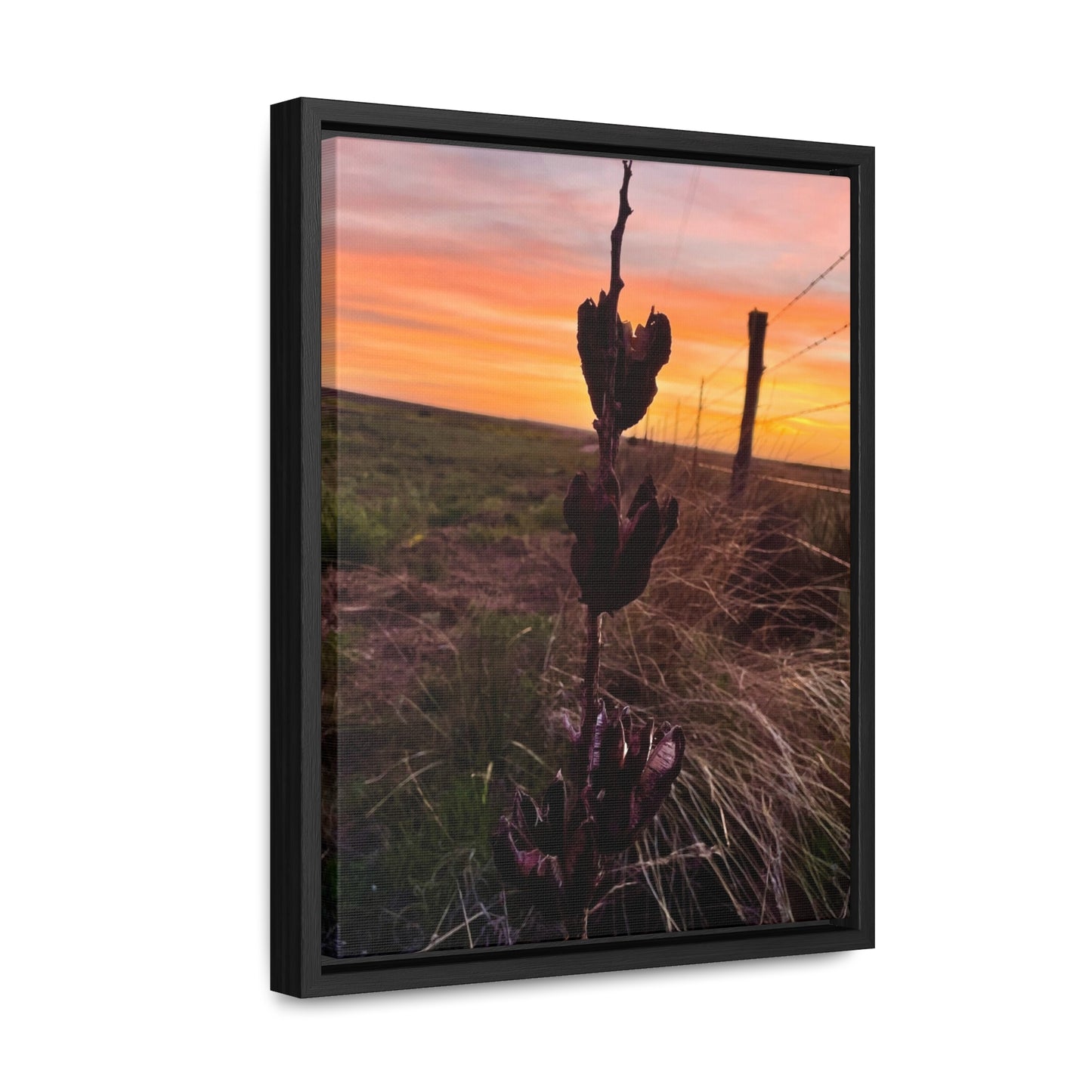 Native Yucca, Sunset, Gallery Canvas Wraps, Vertical Frame