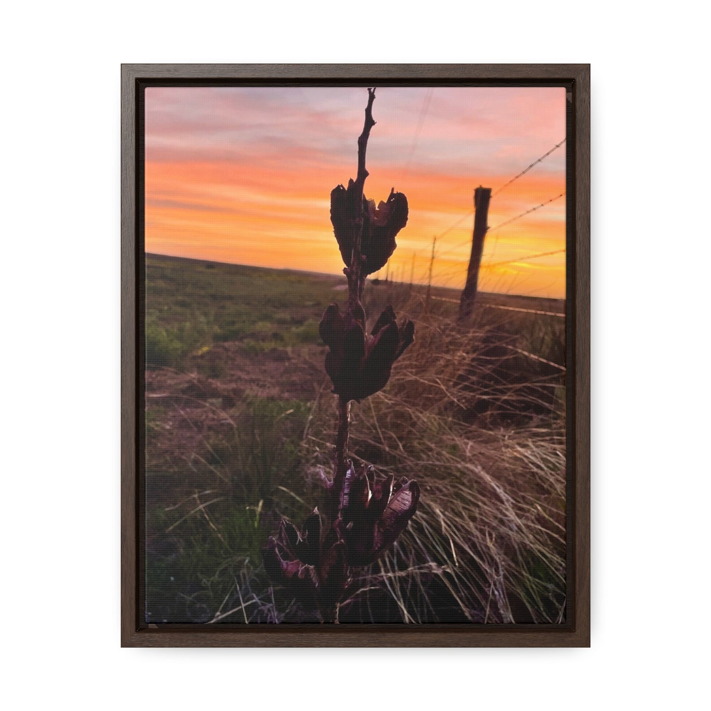Native Yucca, Sunset, Gallery Canvas Wraps, Vertical Frame