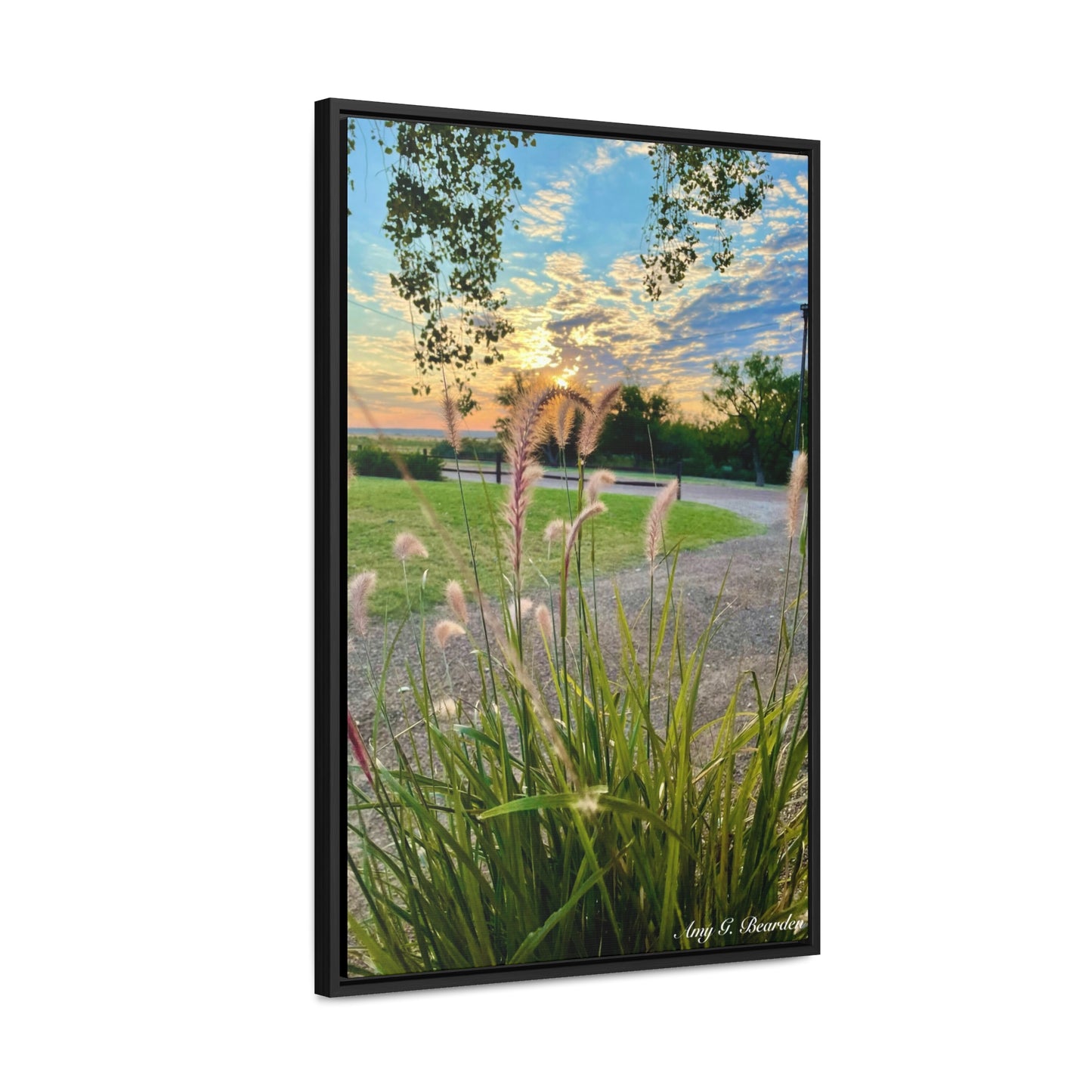 Feathergrass Sunrise, Gallery Canvas Wraps, Vertical Frame