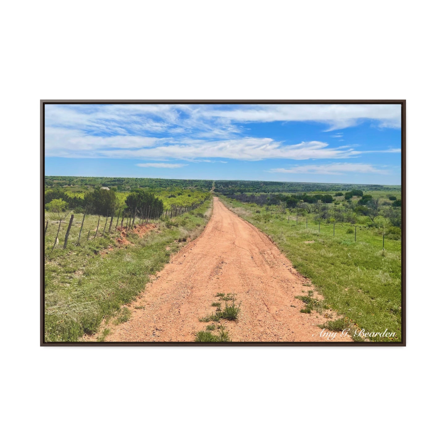 Red Dirt Road, Gallery Canvas Wraps, Horizontal Frame