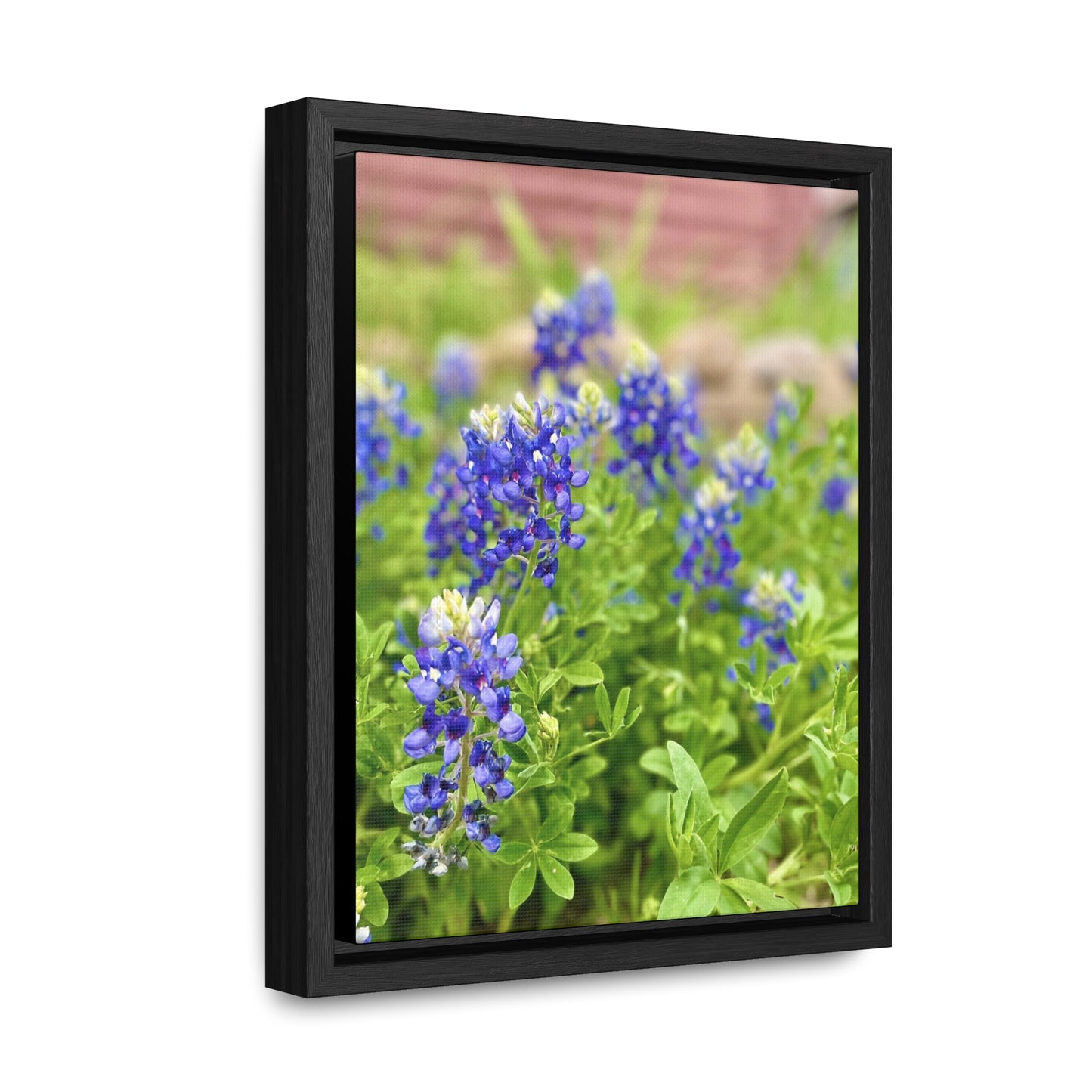 Bluebonnets, Gallery Canvas Wraps, Vertical Frame