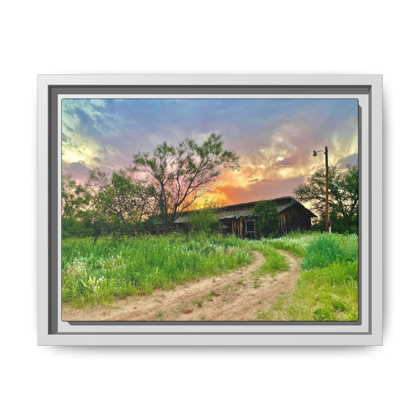 Horse stable, vibrant canvas