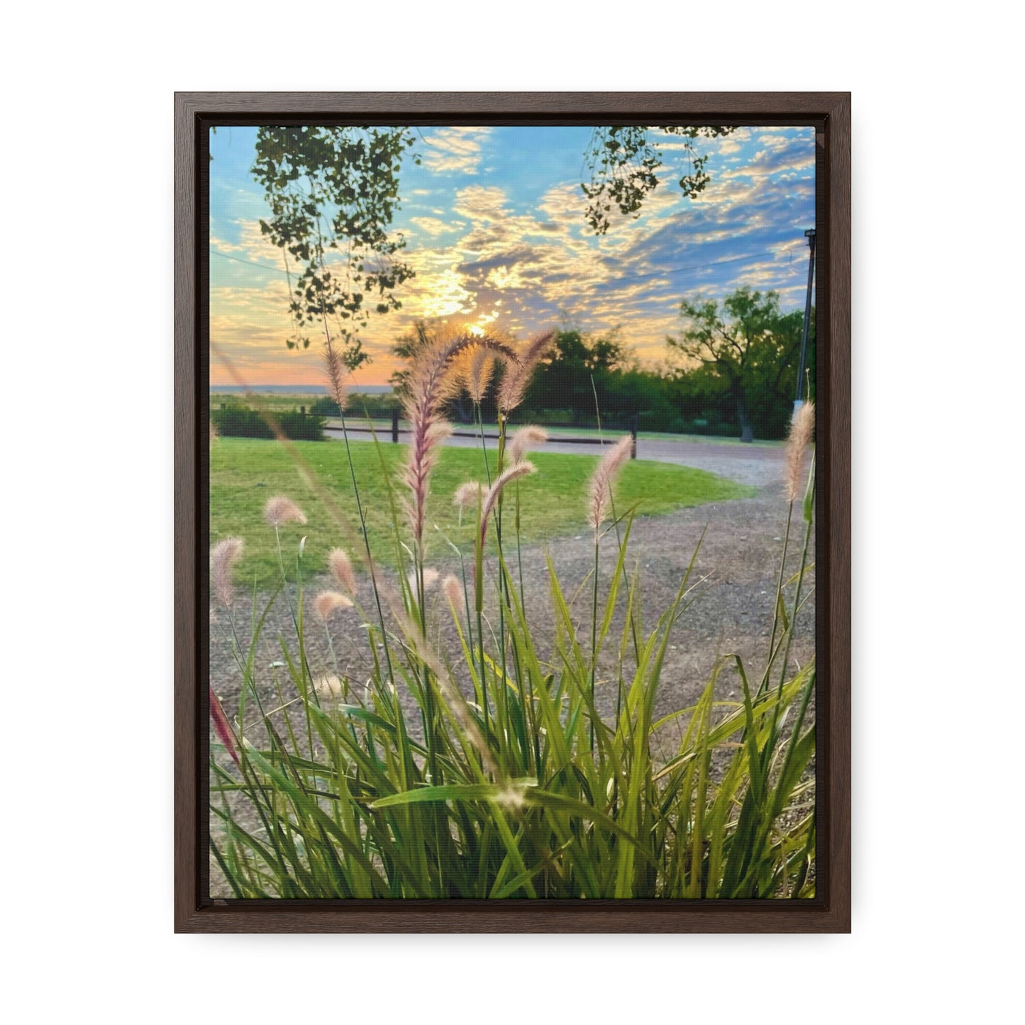 Feathergrass Sunrise, Gallery Canvas Wraps, Vertical Frame