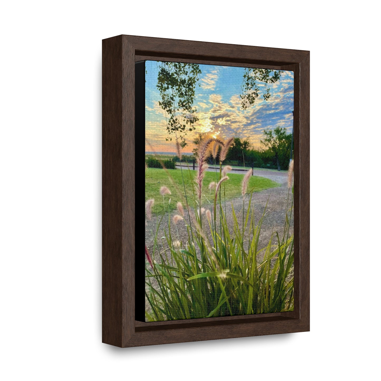 Feathergrass Sunrise, Gallery Canvas Wraps, Vertical Frame