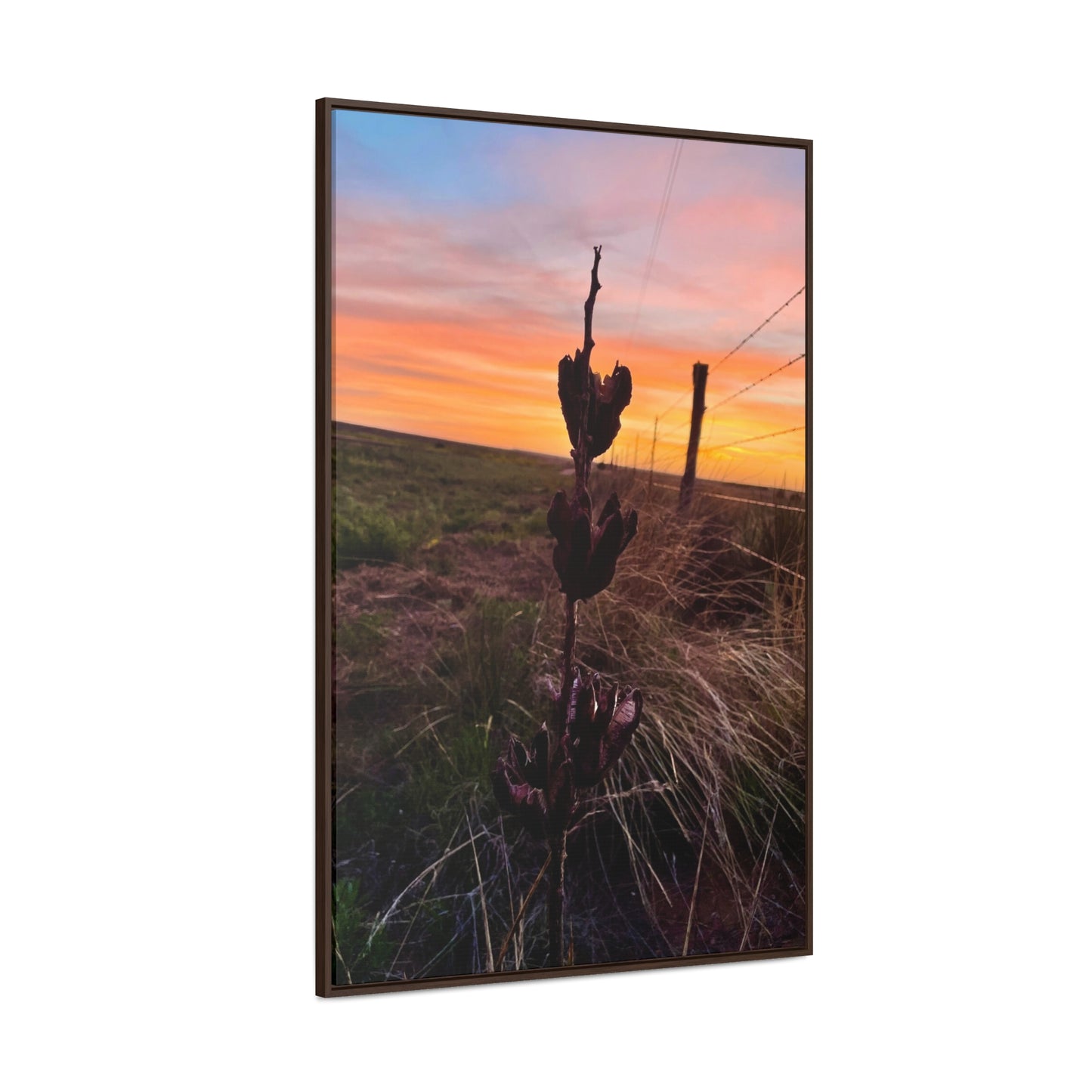 Native Yucca, Sunset, Gallery Canvas Wraps, Vertical Frame