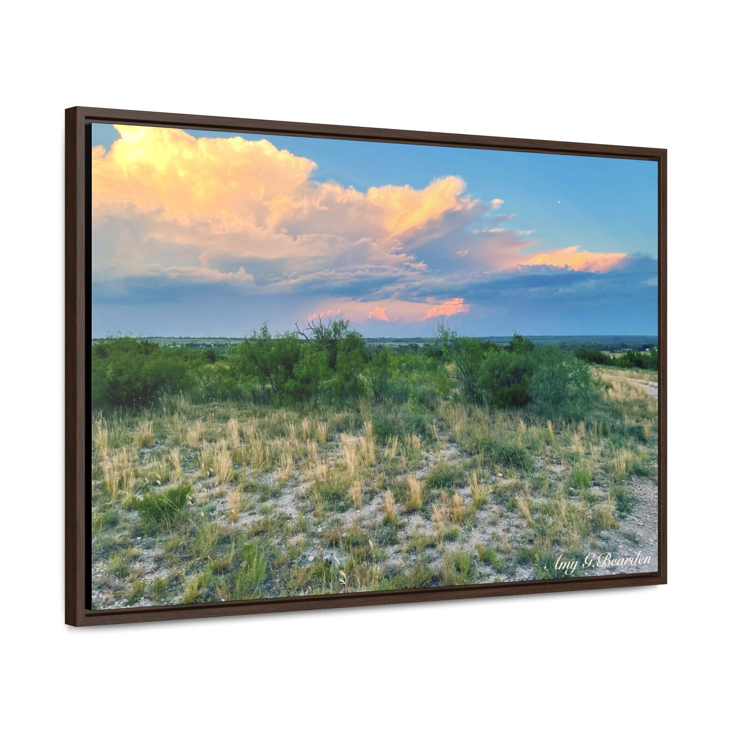 Gallery Canvas Wraps, Horizontal Frame