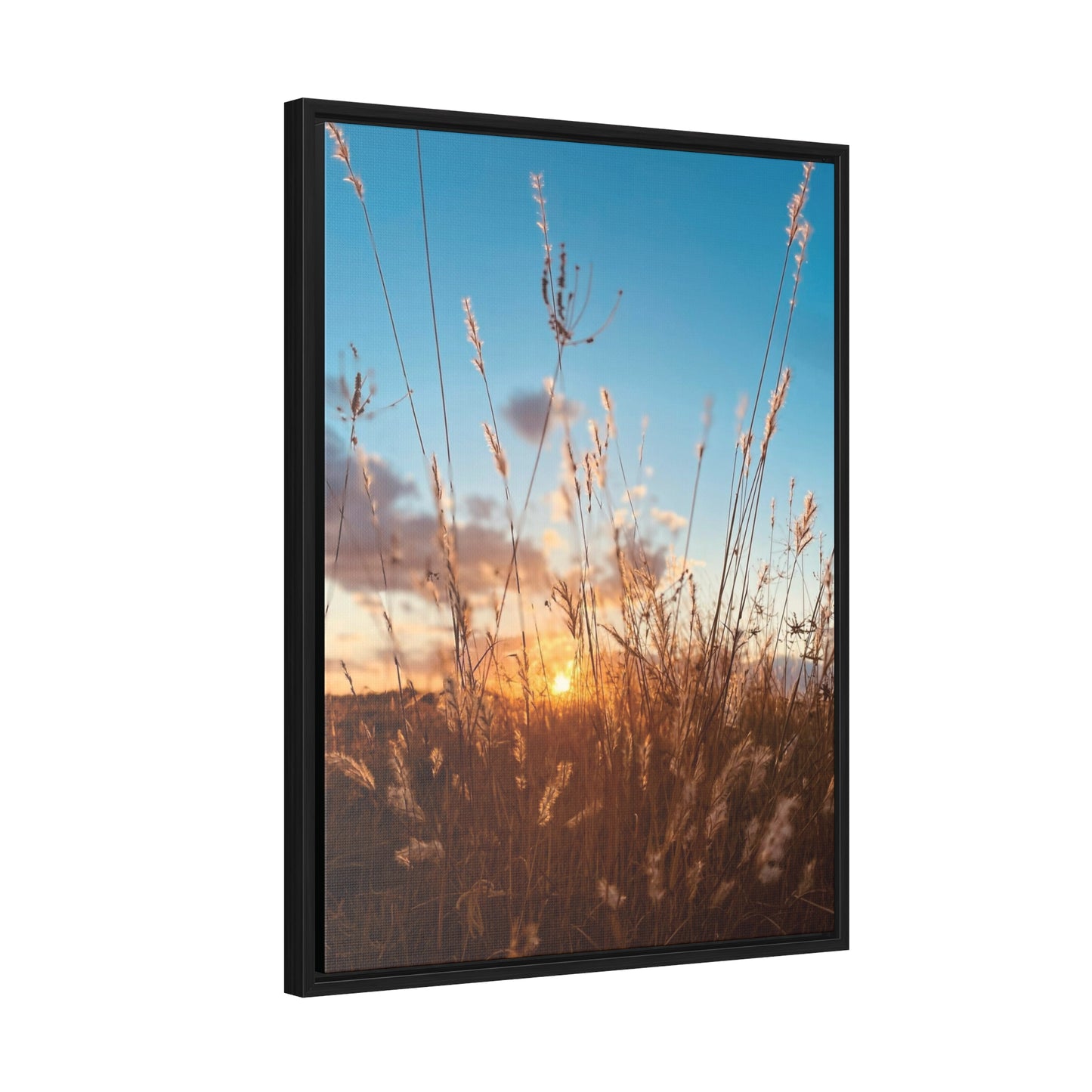 Wild grass and sunset, Gallery Canvas Wraps, Vertical Frame