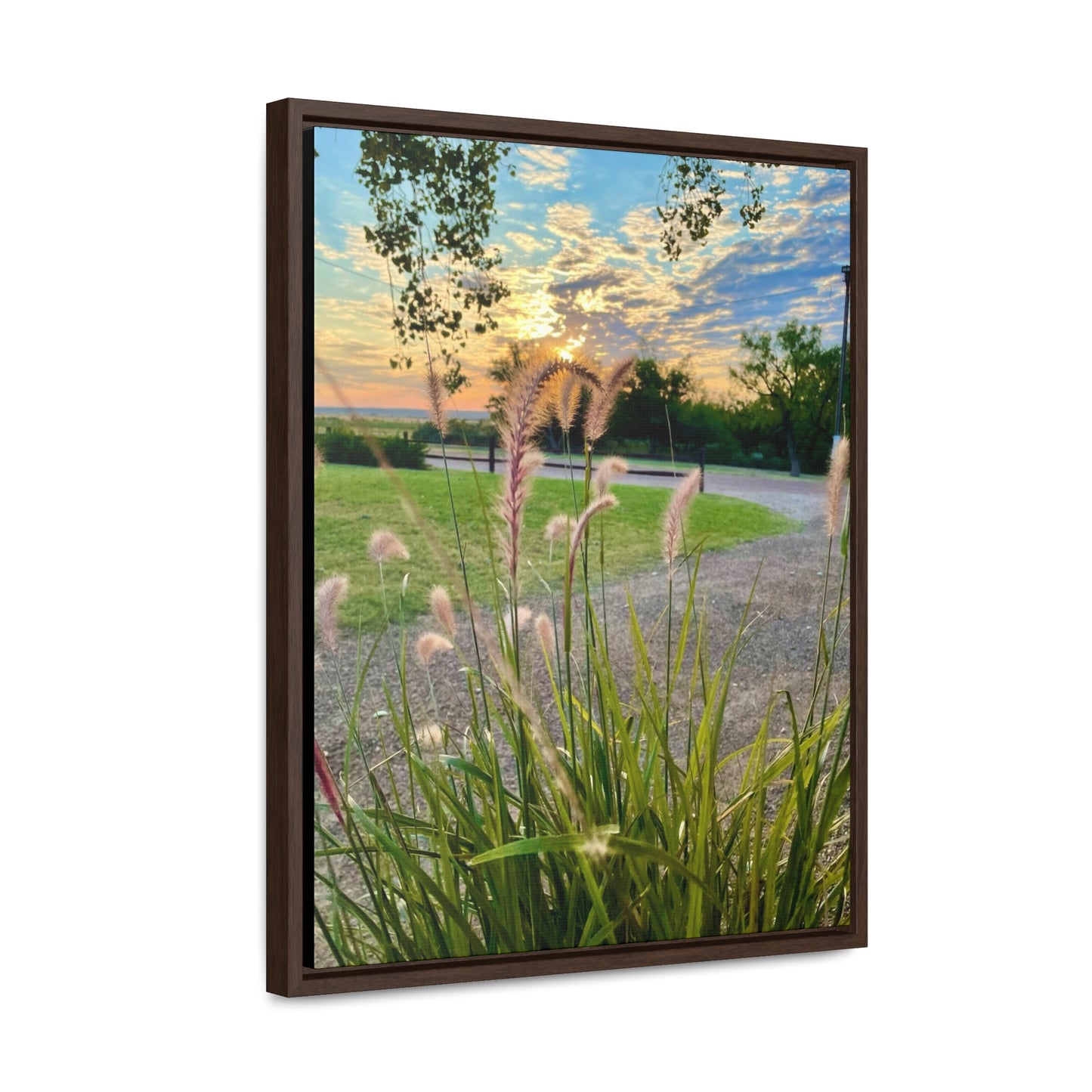 Feathergrass Sunrise, Gallery Canvas Wraps, Vertical Frame