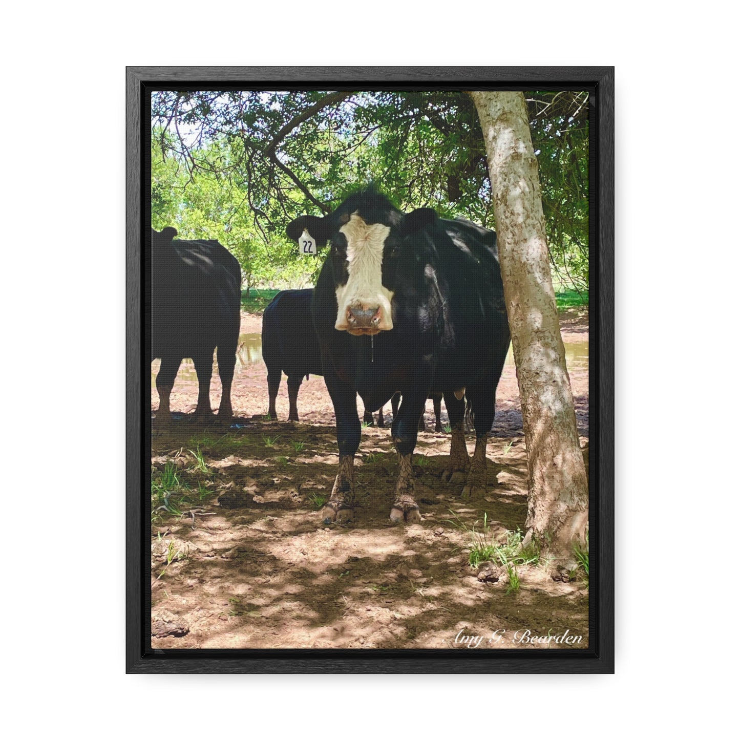Wet Kisses, Gallery Canvas Wraps, Vertical Frame