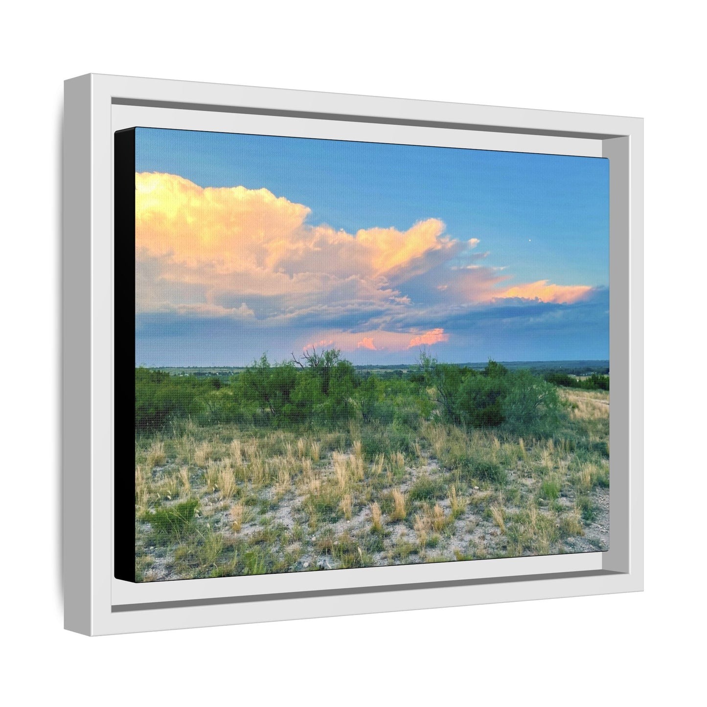 Gallery Canvas Wraps, Horizontal Frame