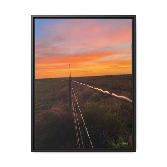 Barbed wire fence, Gallery Canvas Wraps, Vertical Frame