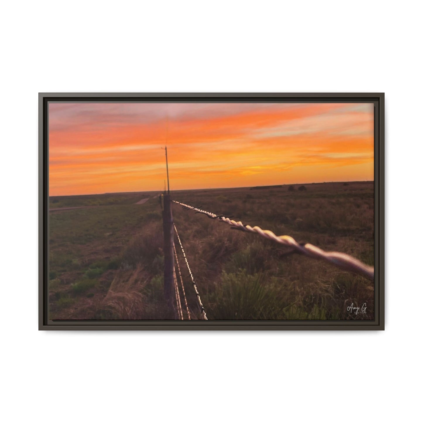 Barbed wire fence, Gallery Canvas Wraps, Vertical Frame