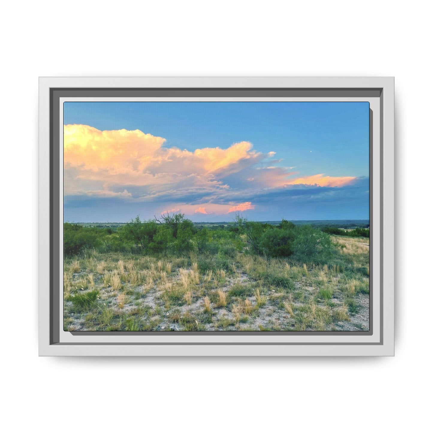 Gallery Canvas Wraps, Horizontal Frame