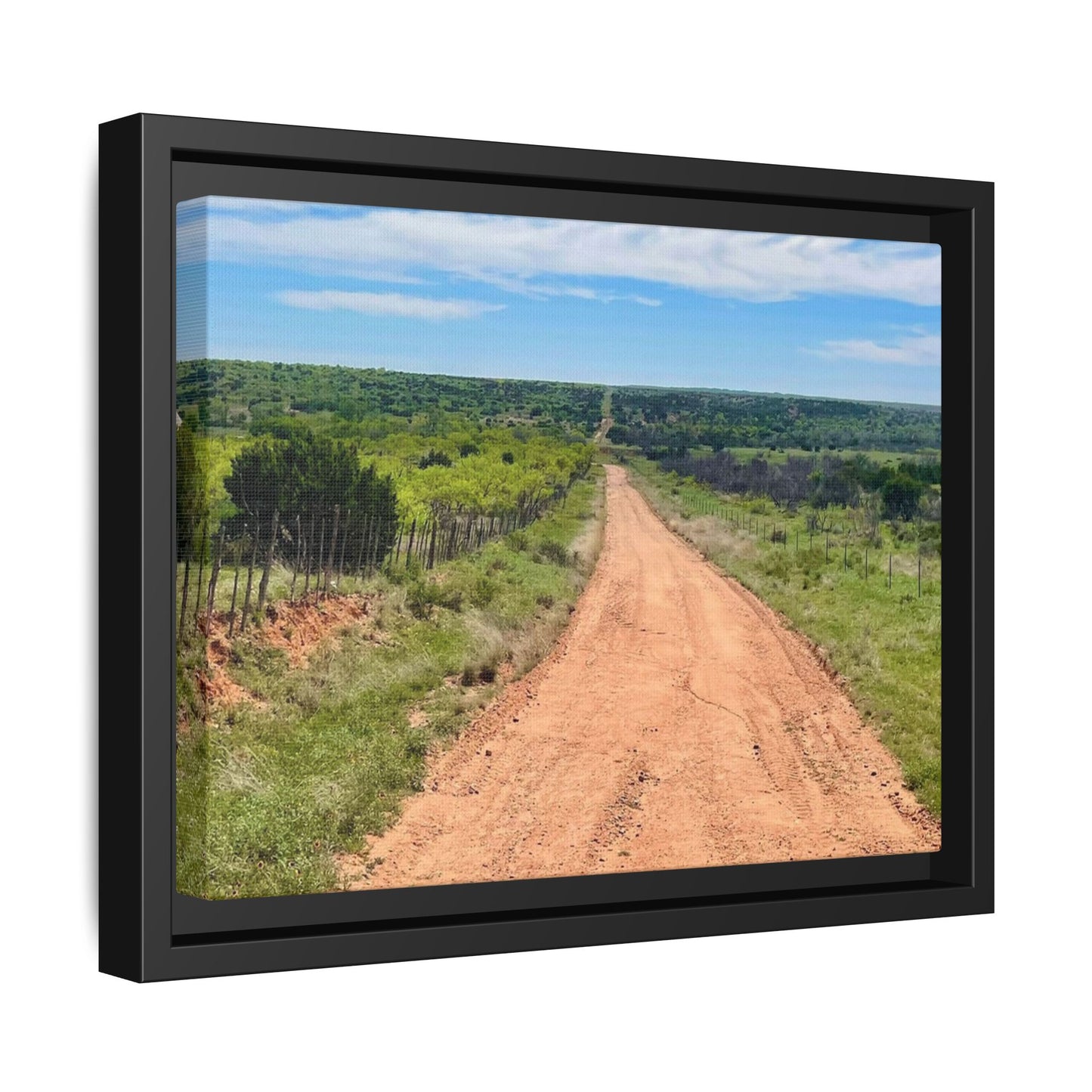 Red Dirt Road, Gallery Canvas Wraps, Horizontal Frame