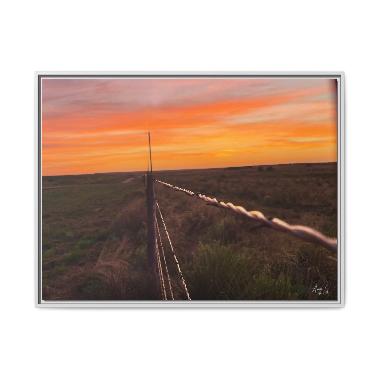 Barbed wire fence, Gallery Canvas Wraps, Vertical Frame