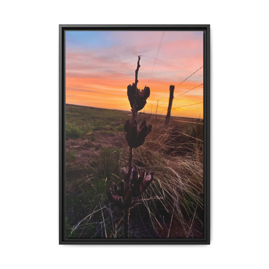 Native Yucca, Sunset, Gallery Canvas Wraps, Vertical Frame