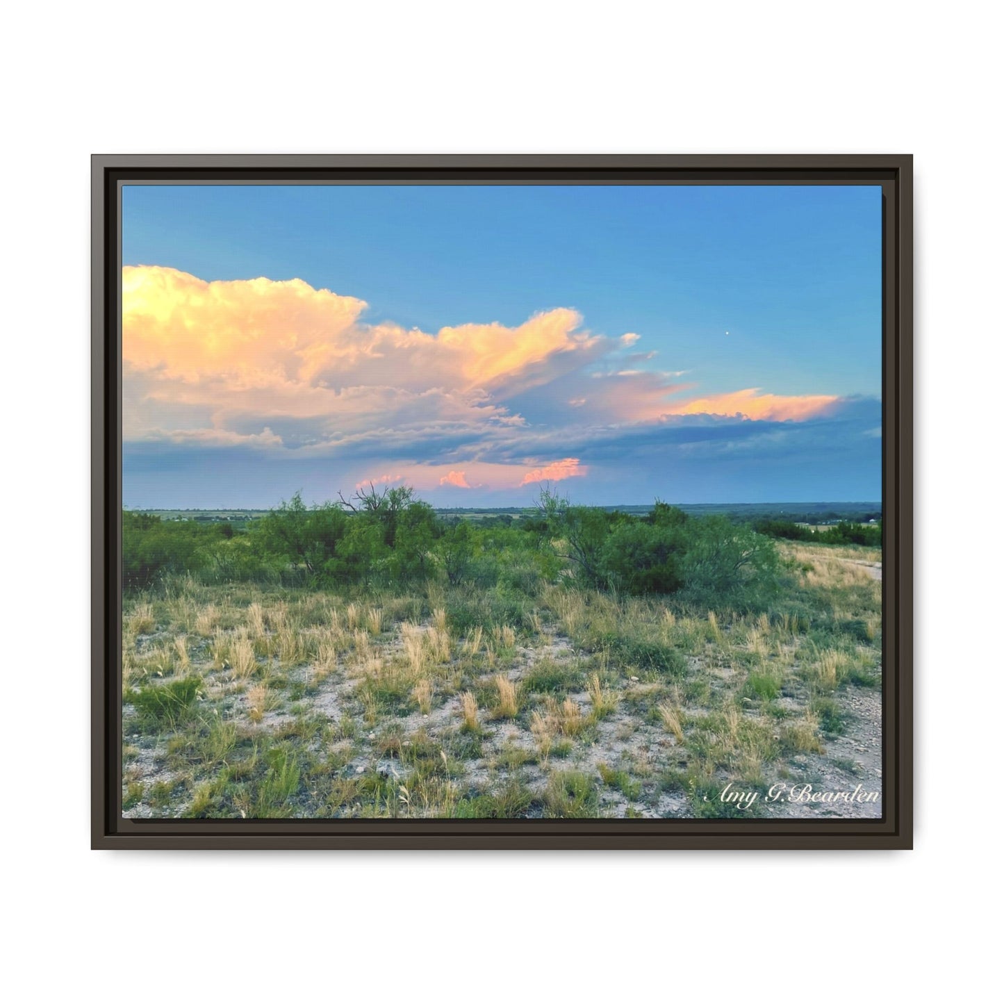 Gallery Canvas Wraps, Horizontal Frame