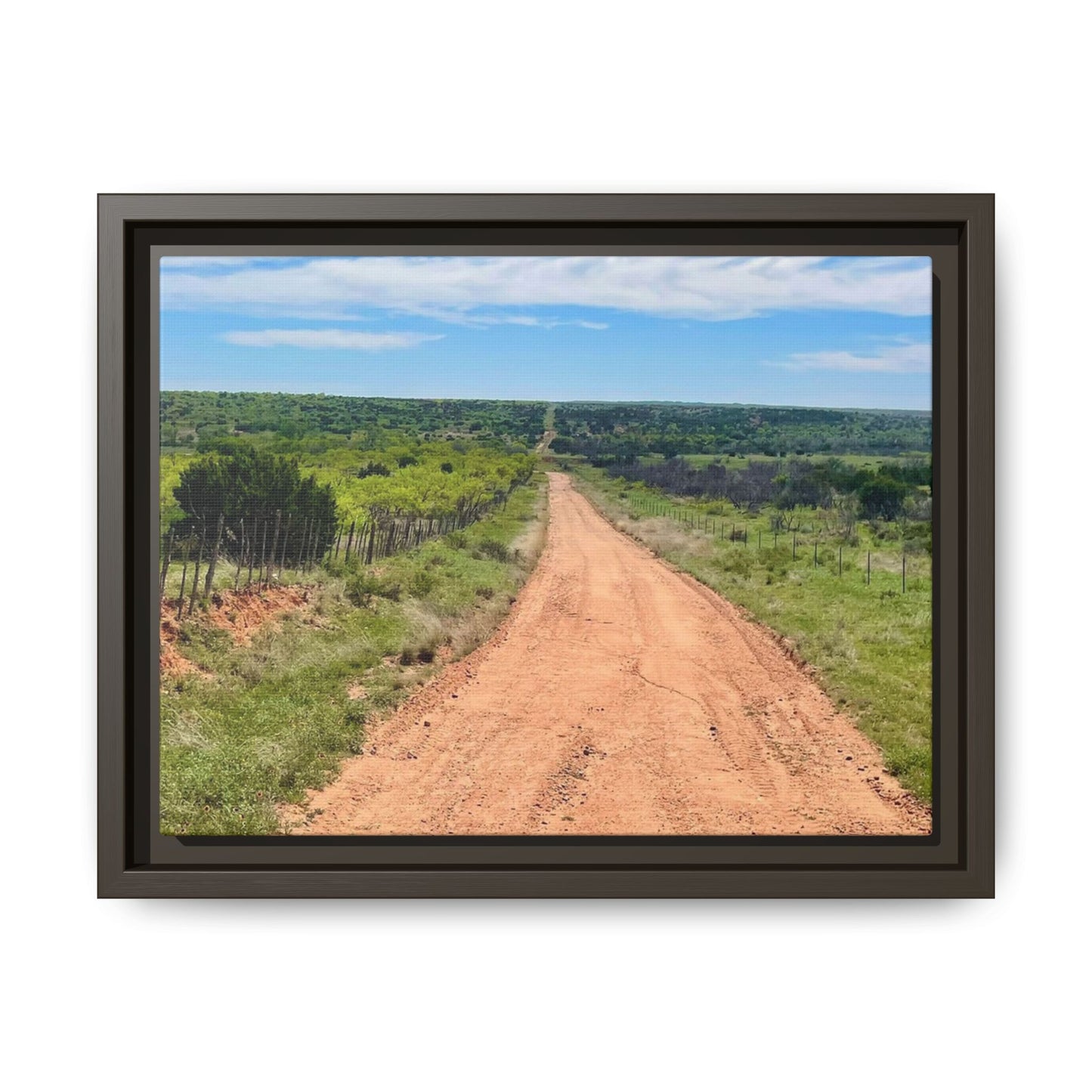 Red Dirt Road, Gallery Canvas Wraps, Horizontal Frame