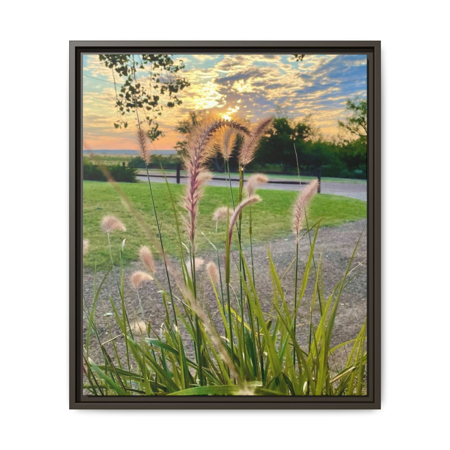 Feathergrass Sunrise, Gallery Canvas Wraps, Vertical Frame