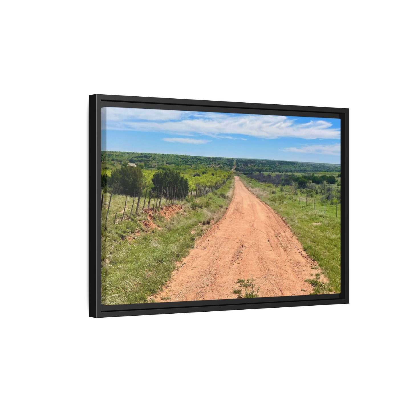 Bird Ranch Road, Matte Canvas, Framed (Multi-color)