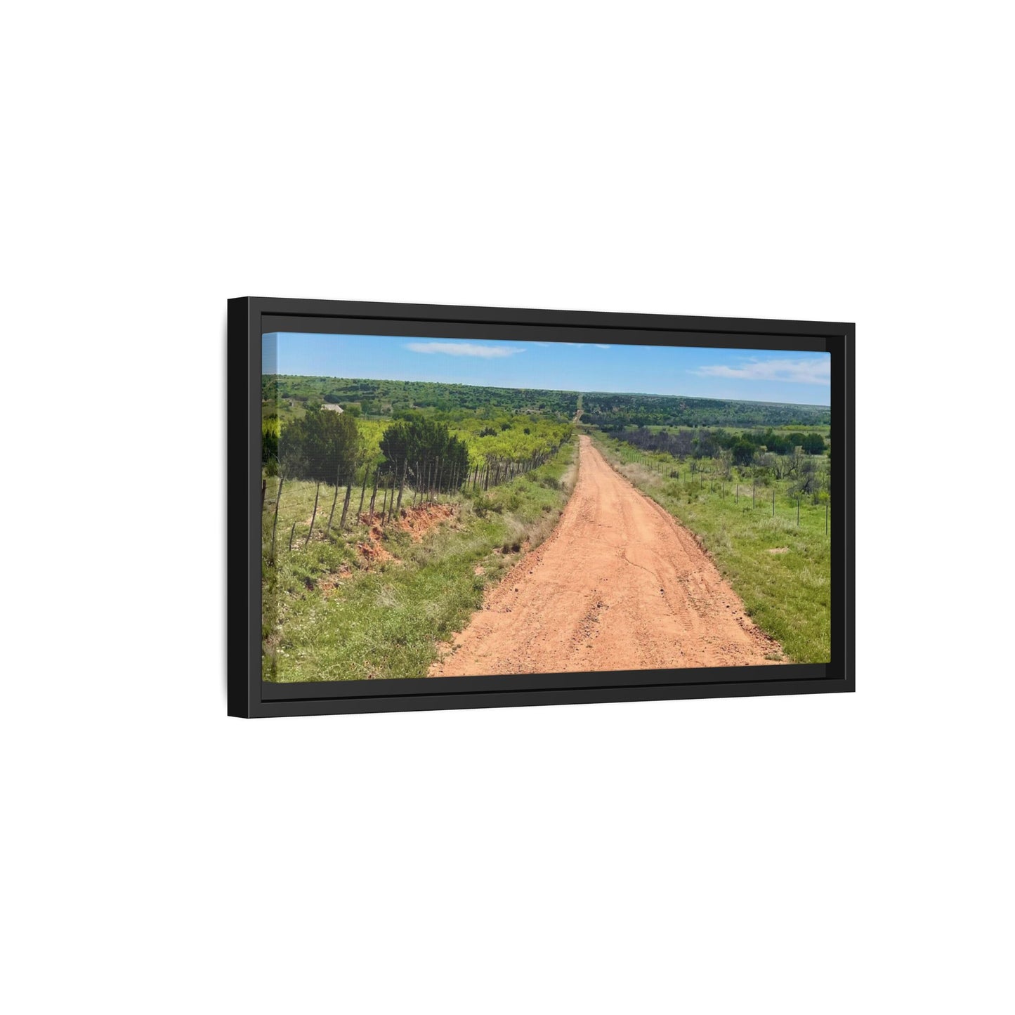 Bird Ranch Road, Matte Canvas, Framed (Multi-color)