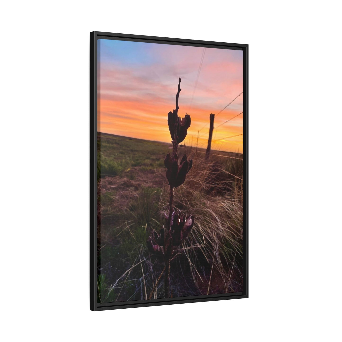 Native Yucca, Sunset, Gallery Canvas Wraps, Vertical Frame