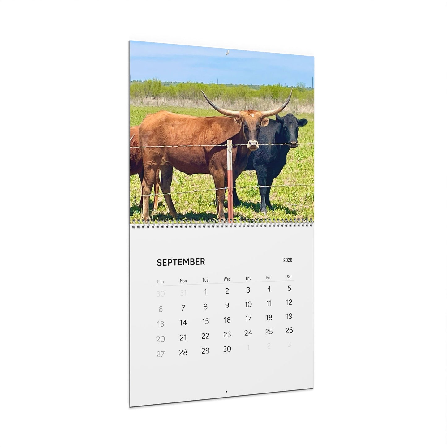 Amy G Bearden, Wall Calendars (2026)