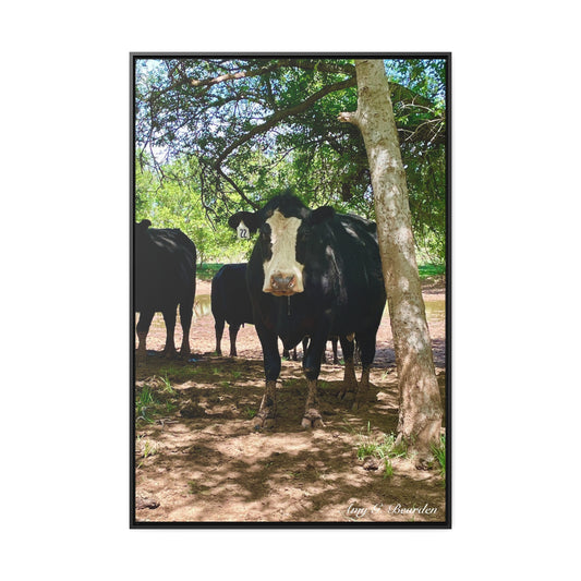 Wet Kisses, Gallery Canvas Wraps, Vertical Frame
