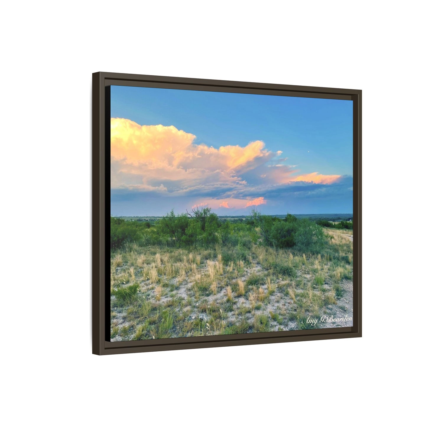 Gallery Canvas Wraps, Horizontal Frame