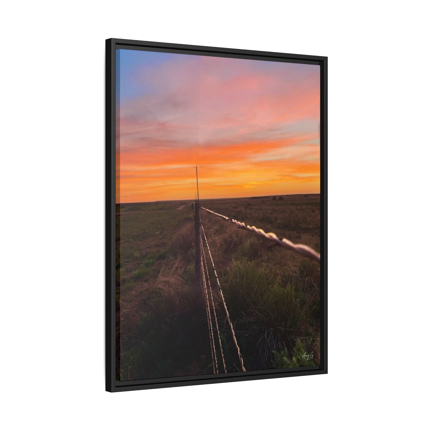 Barbed wire fence, Gallery Canvas Wraps, Vertical Frame