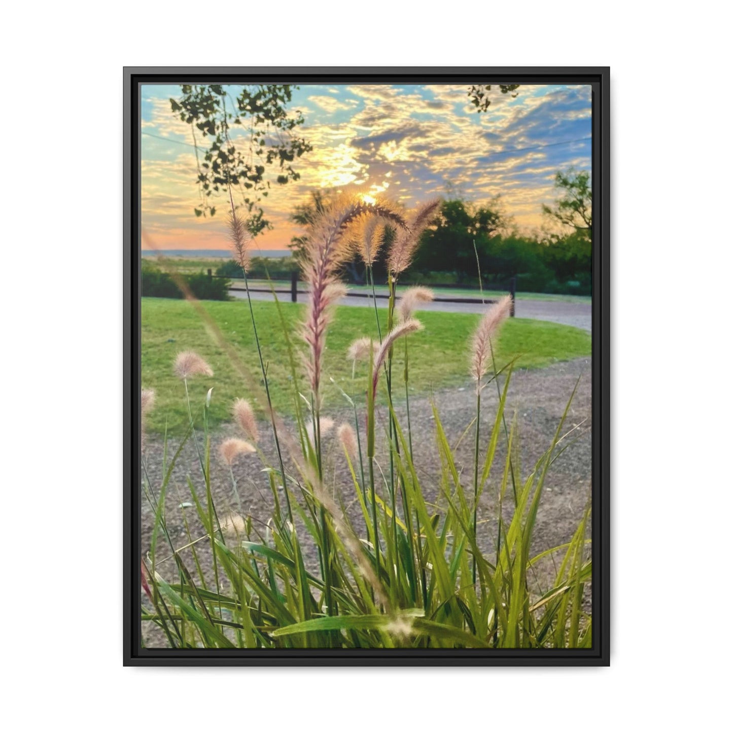 Feathergrass Sunrise, Gallery Canvas Wraps, Vertical Frame