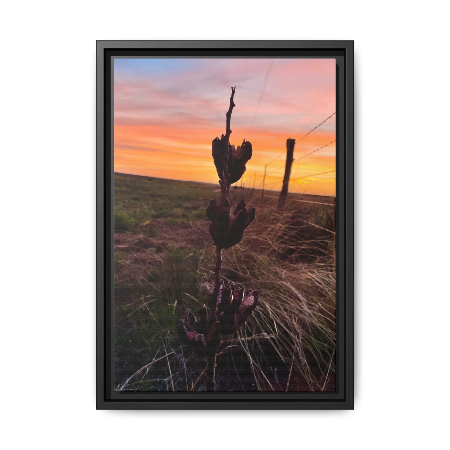 Native Yucca, Sunset, Gallery Canvas Wraps, Vertical Frame