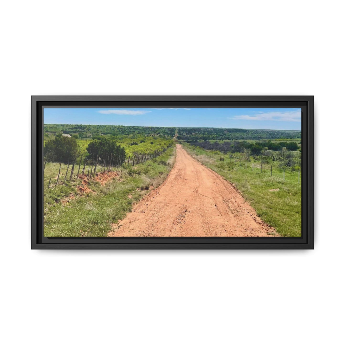 Bird Ranch Road, Matte Canvas, Framed (Multi-color)