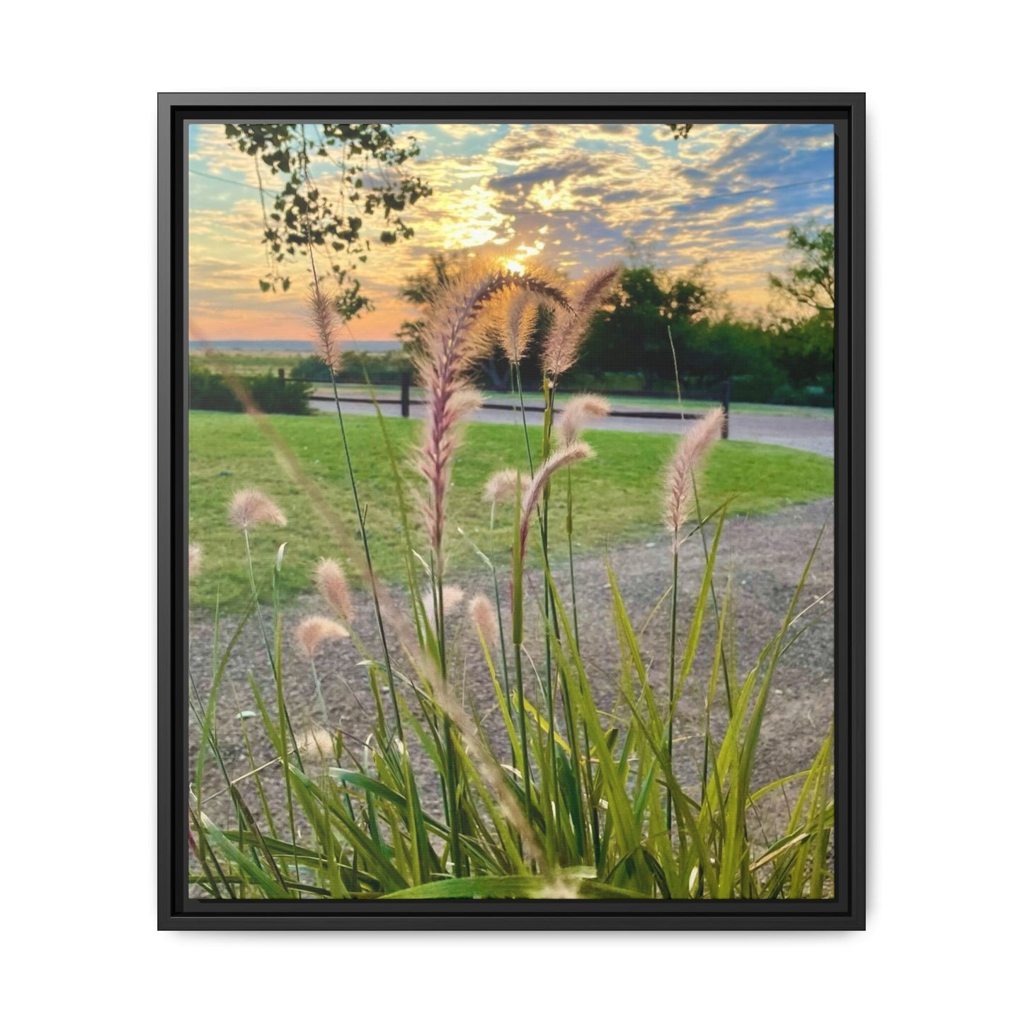 Feathergrass Sunrise, Gallery Canvas Wraps, Vertical Frame