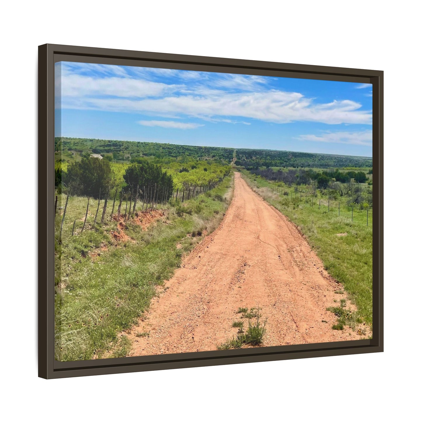 Bird Ranch Road, Matte Canvas, Framed (Multi-color)