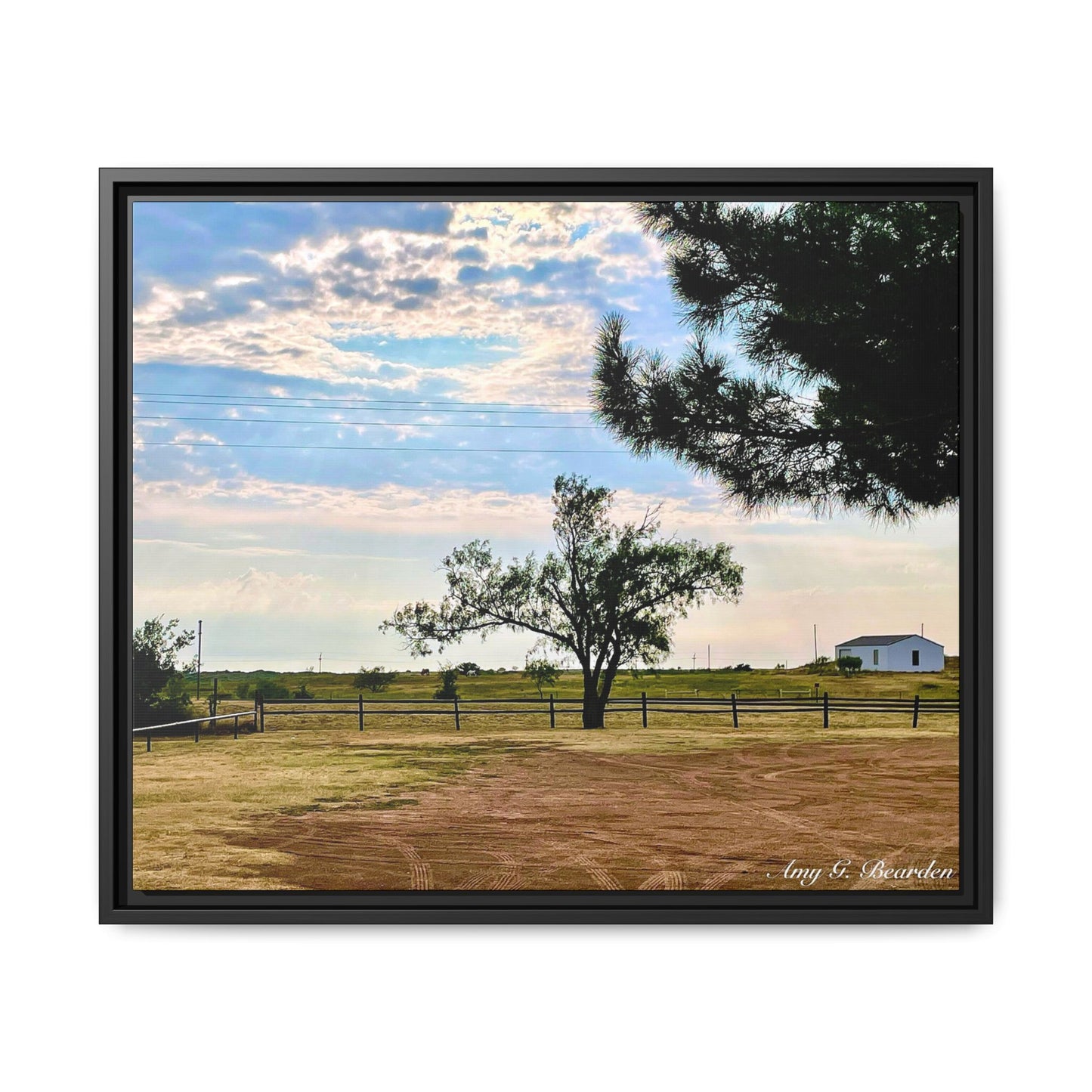 Morning light on the Chula Vista, Gallery Canvas Wraps, Horizontal Frame