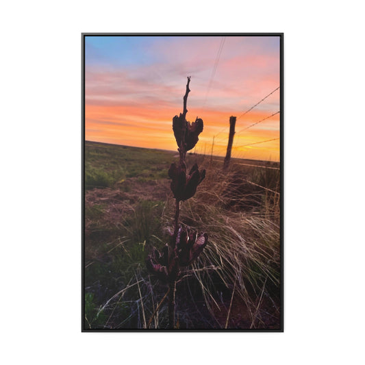 Native Yucca, Sunset, Gallery Canvas Wraps, Vertical Frame